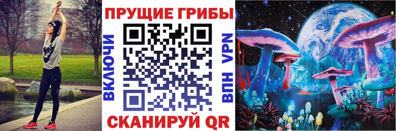 Псилоцибиновые грибы Psilocybe  Купить закладки  Элиста 