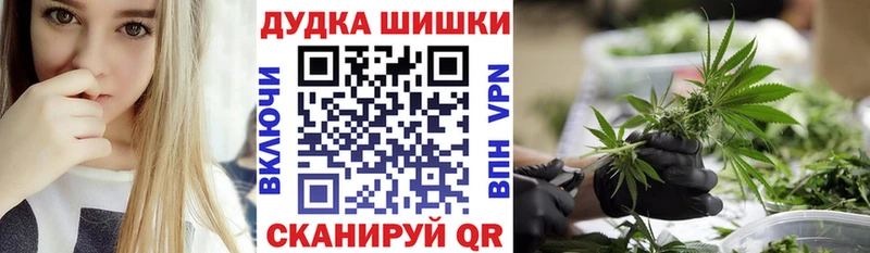 Шишки марихуана OG Kush  Купить закладки  Элиста 